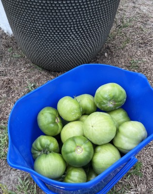 IMG_5164.jpeg