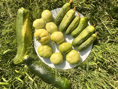IMG_2509.jpeg