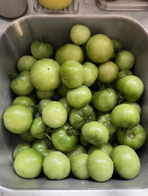 IMG_5299.jpeg