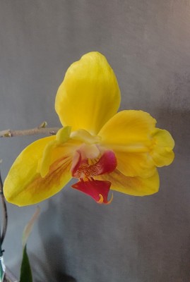 20230514_155353.jpg