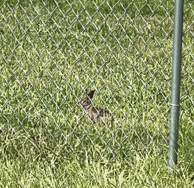 IMG_5779.jpeg