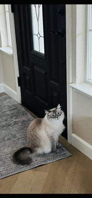 IMG_2167.jpeg