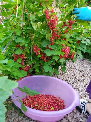 768F0465-78F7-4B9A-AE5B-D331F3BDA9C1.jpeg