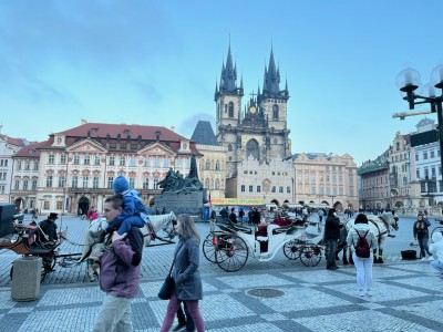 IMG_1774.jpeg