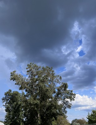 IMG_6270.jpeg