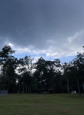 IMG_6272.jpeg