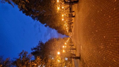 20231003_064557.jpg