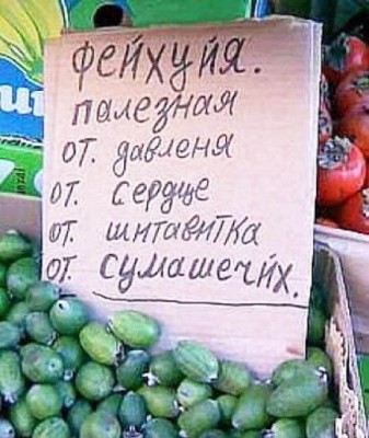 IMG_6538.jpeg