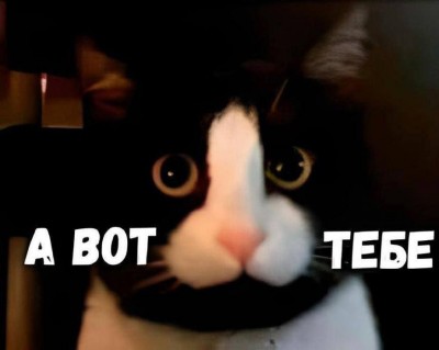0GpbDCidkBQ.jpg