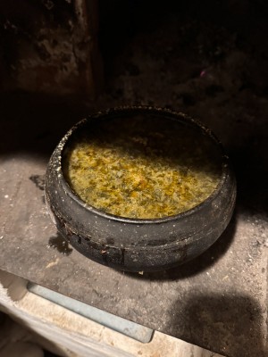 IMG_7389.jpeg