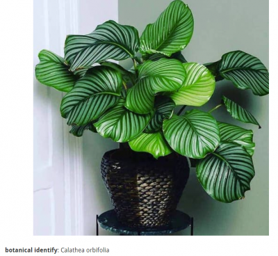 Screenshot 2024-01-25 151432.png