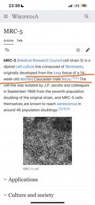 IMG_1964.jpeg