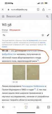 IMG_1965.jpeg