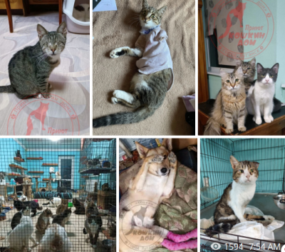 Screenshot 2024-05-18 081726.png