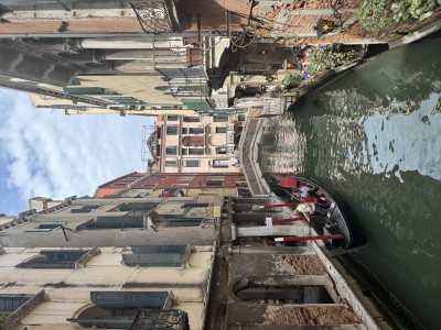 IMG_4961.jpeg