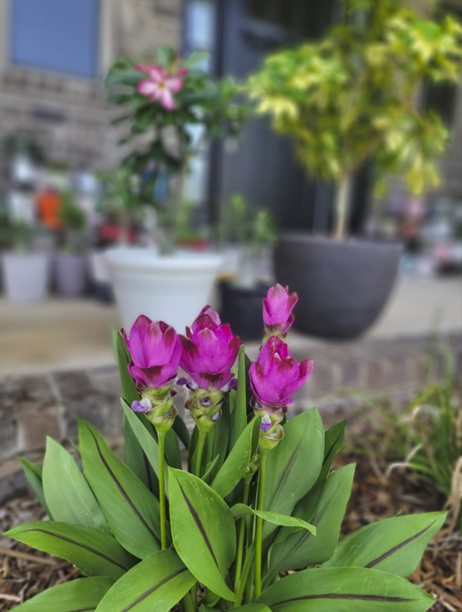 Screenshot 2024-06-24 194324.png