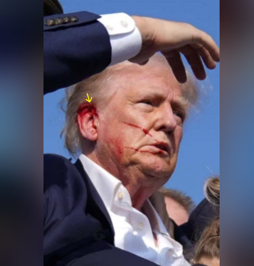 Screenshot 2024-07-13 190823.png