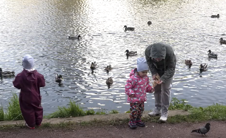 Screenshot 2024-07-22 081023.png