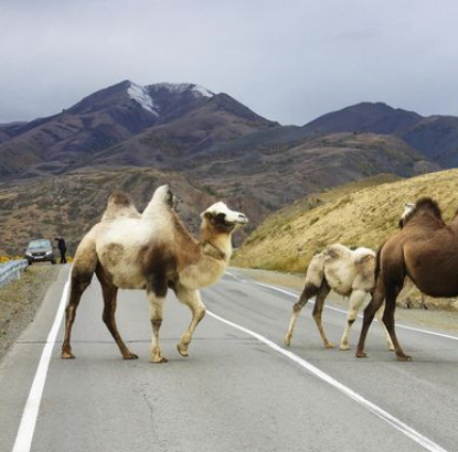 Screenshot 2024-09-20 130509.png