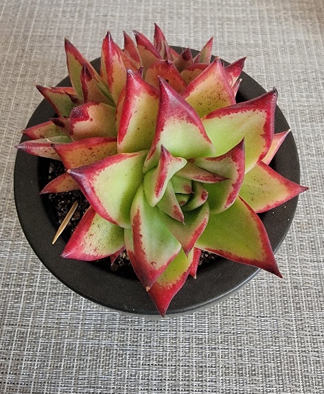 20240930_160750.jpg