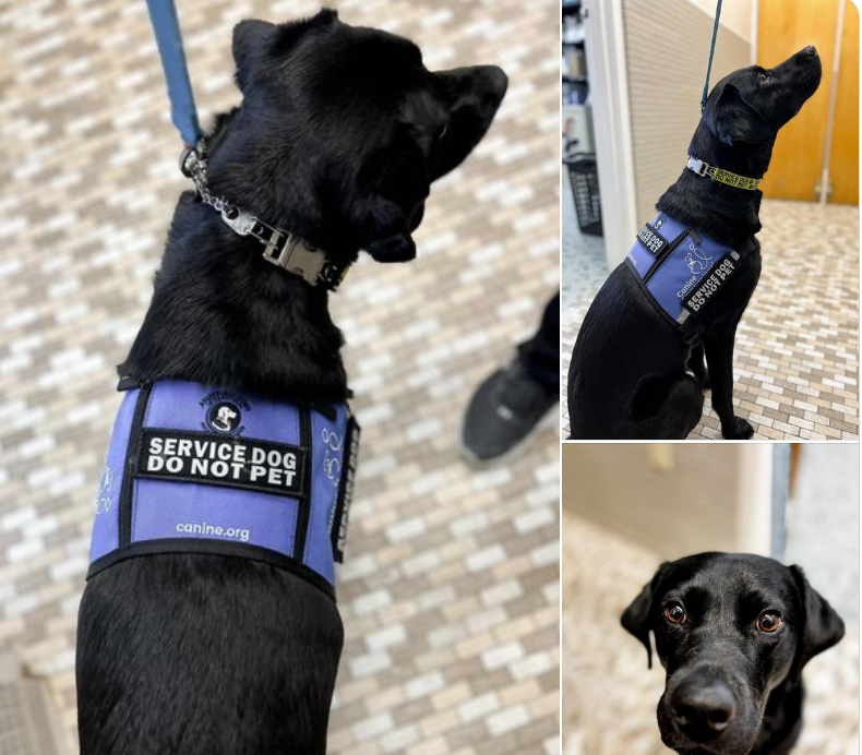 Screenshot 2024-10-21 075657.png