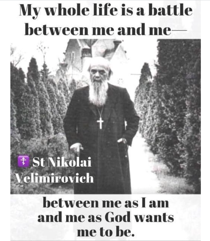 Screenshot 2024-11-12 080002.png