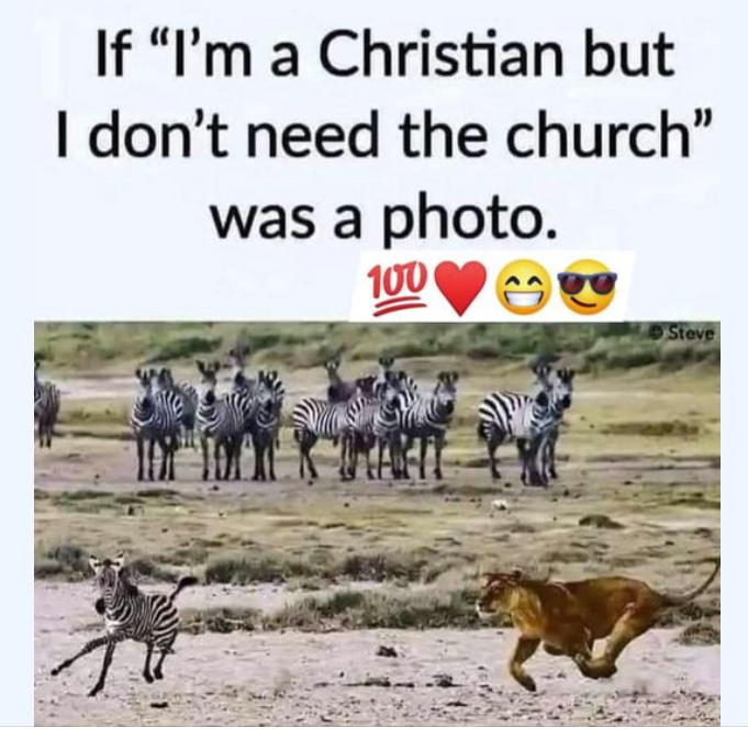 Screenshot 2024-11-15 080230.png