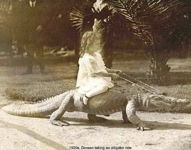 Screenshot 2024-11-25 212100.png