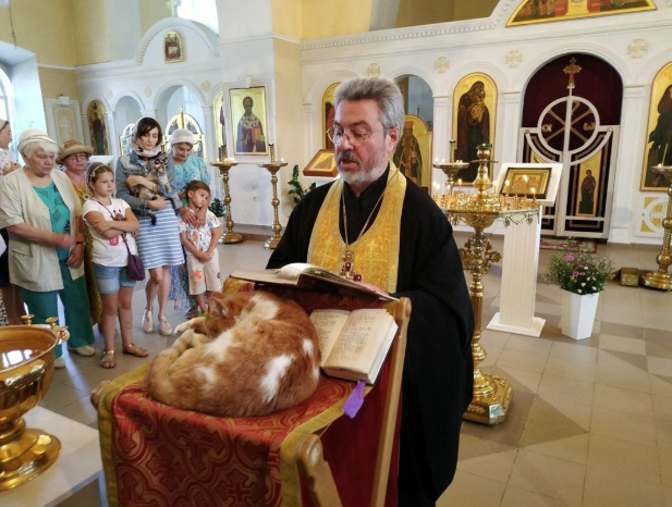 Screenshot 2024-11-30 070036.png