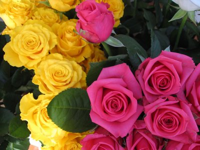 roses-wallpaper-roses-bouquets4350.jpg