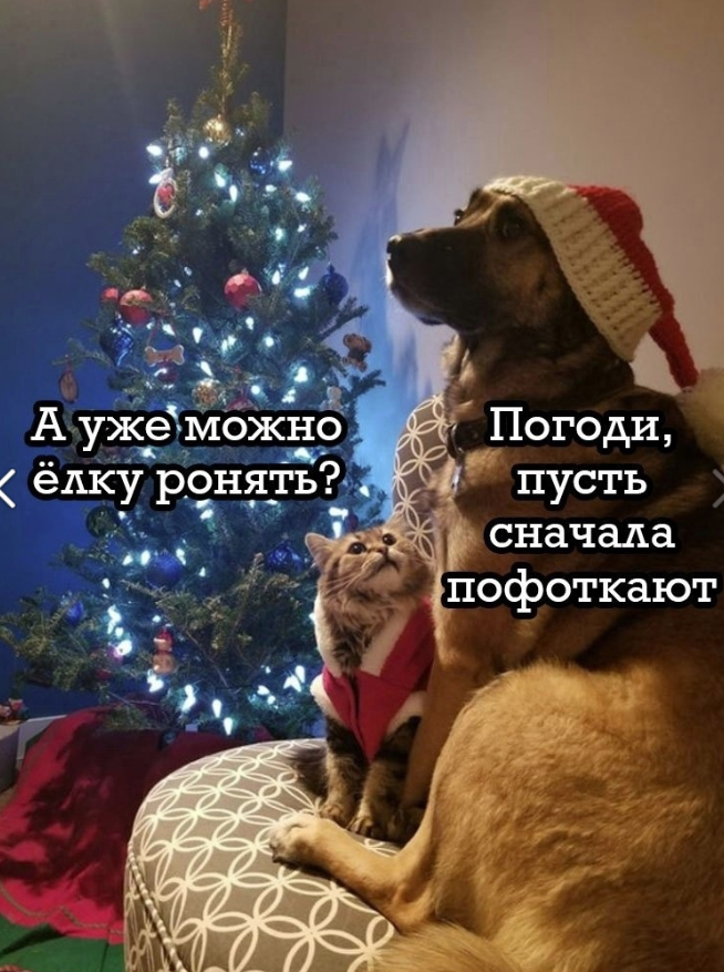 Screenshot 2024-12-11 065706.png