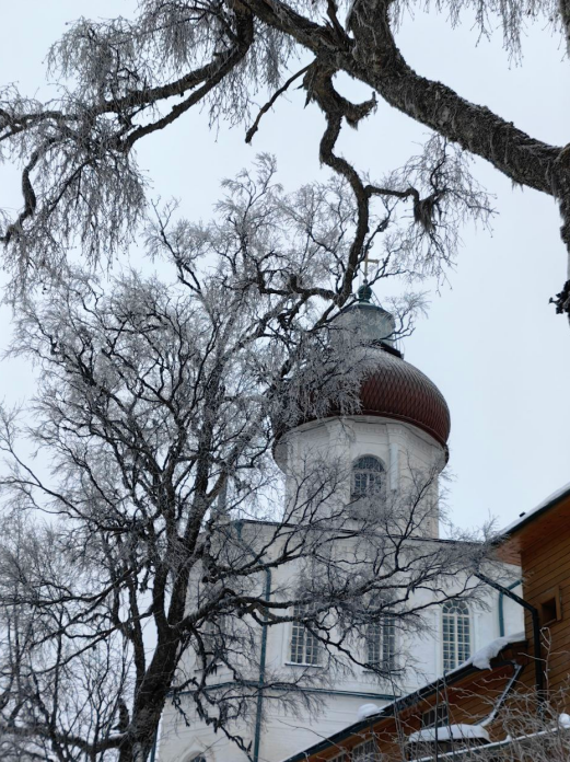 Screenshot 2025-01-04 072844.png