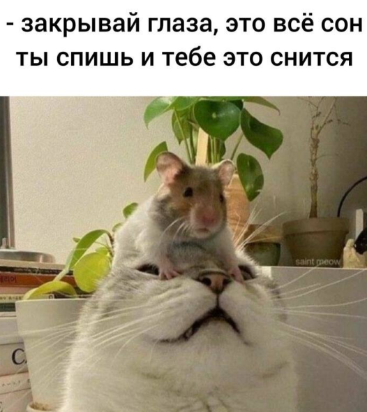 Screenshot 2025-01-06 143659.png