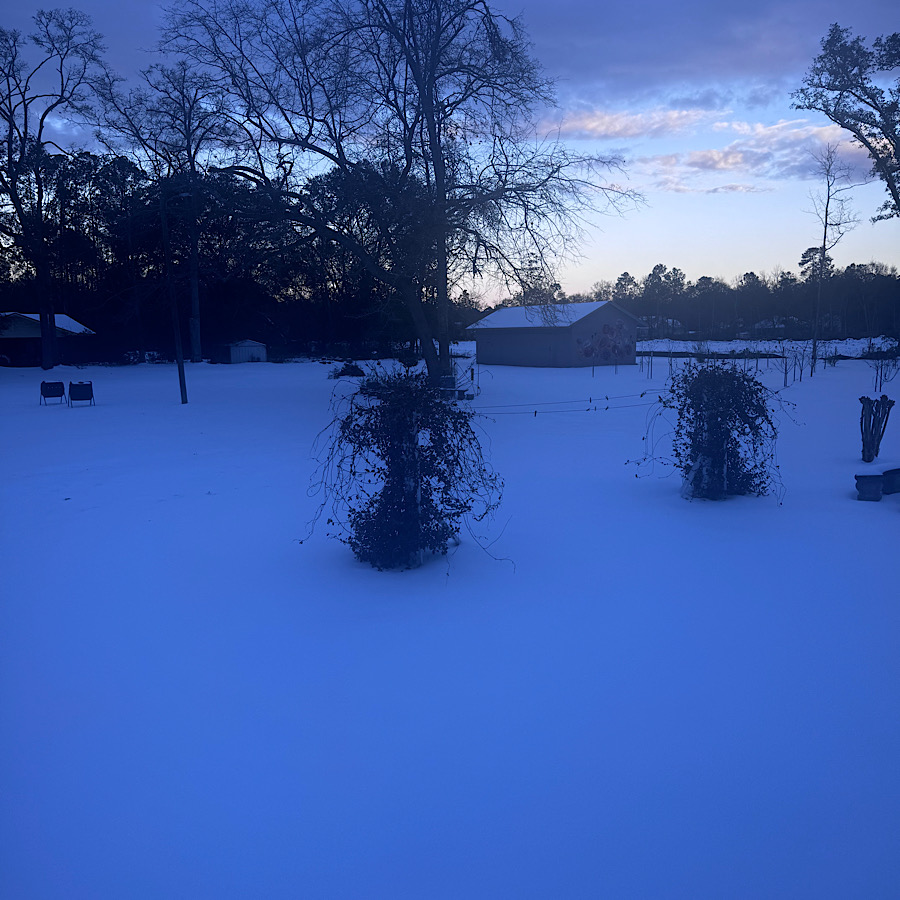 IMG_0340.jpeg