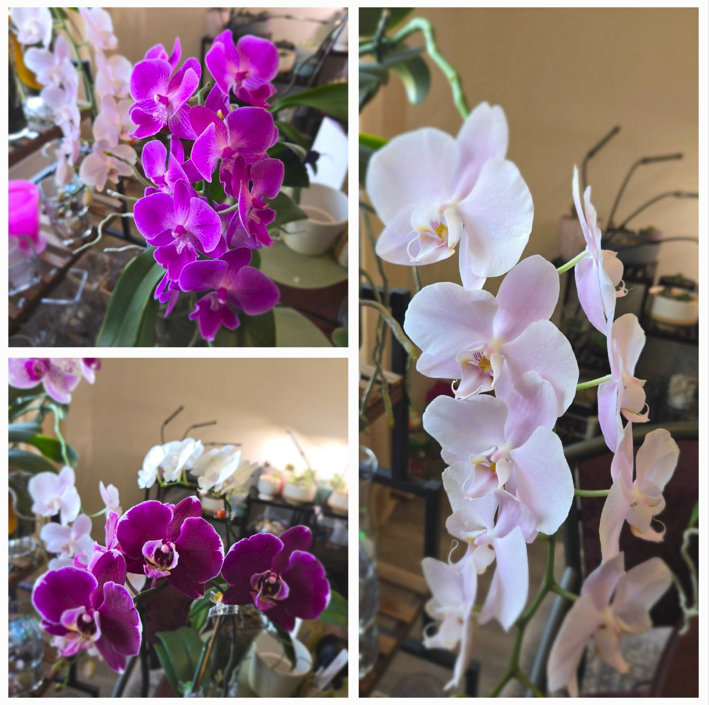 Screenshot 2025-02-18 171502.png