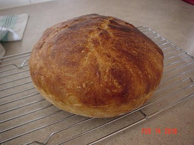 January,2010 075.jpg