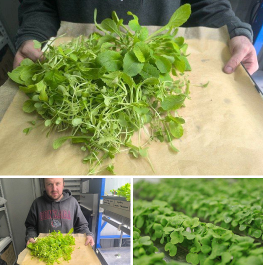 Screenshot 2025-04-13 071343.png