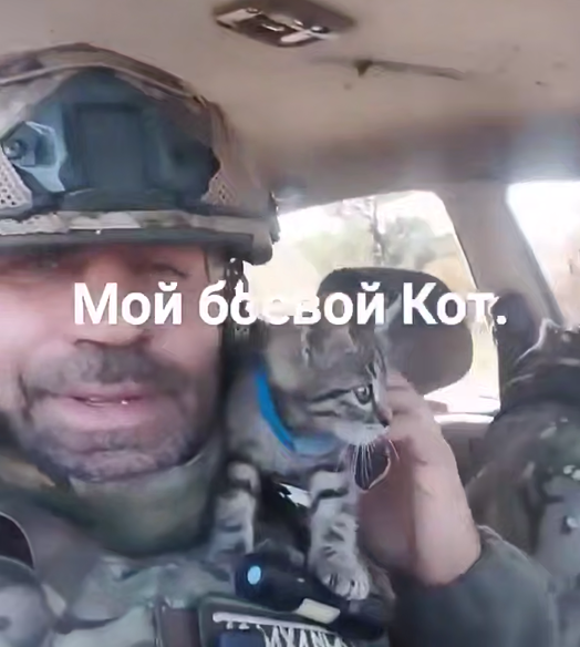 Screenshot 2025-04-24 141437.png