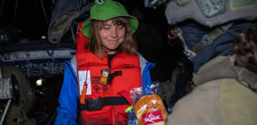 Screenshot 2025-06-09 070913.png