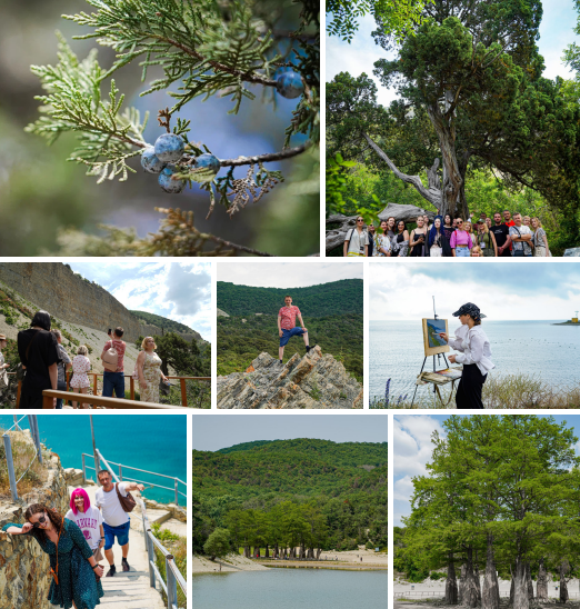 Screenshot 2025-06-09 075603.png