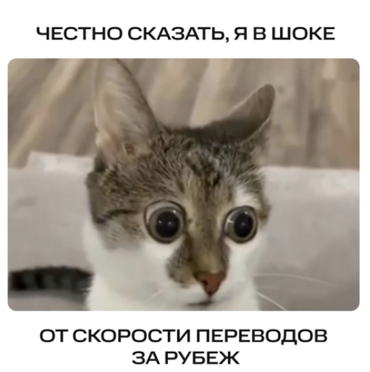 Screenshot 2025-07-22 121103.png