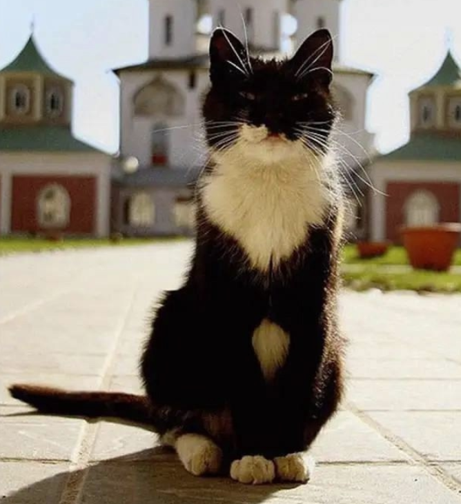 Screenshot 2025-07-24 074933.png