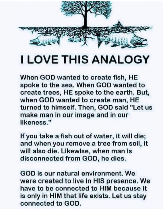 Screenshot 2025-07-27 072151.png