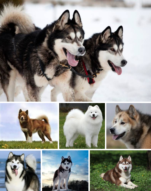 Screenshot 2025-08-02 083509.png