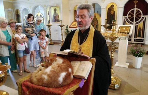 Screenshot 2025-11-05 073956.png