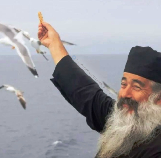 Screenshot 2025-11-09 064410.png