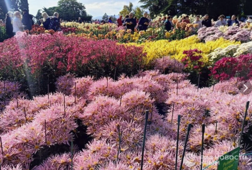 Screenshot 2025-11-10 070627.png