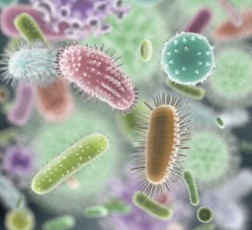 Screenshot 2025-11-29 073652.png