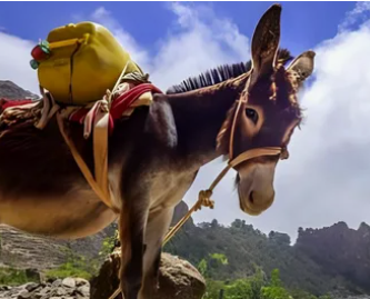 Screenshot 2025-12-06 105314.png