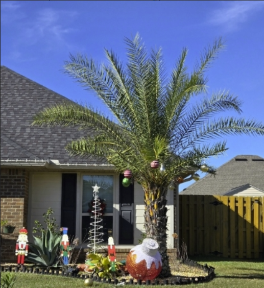 Screenshot 2025-12-16 141337.png